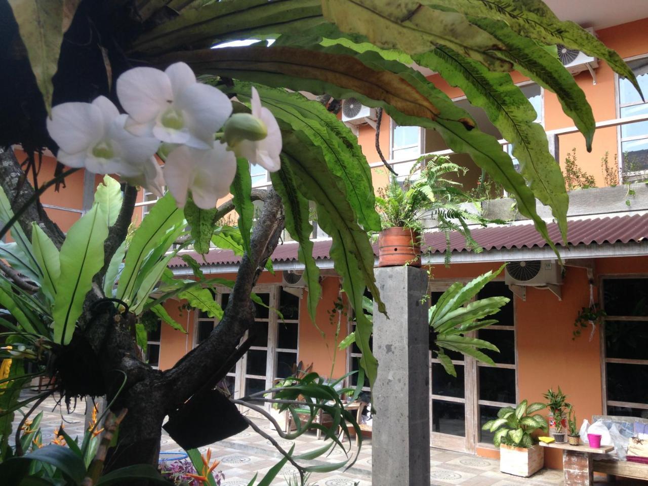 Canggu Pinpoint Rooms Экстерьер фото